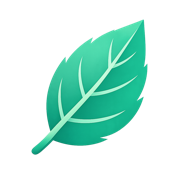 VidMint